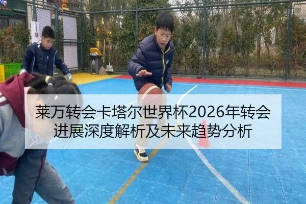 莱万转会卡塔尔世界杯2026年转会进展深度解析及未来趋势分析