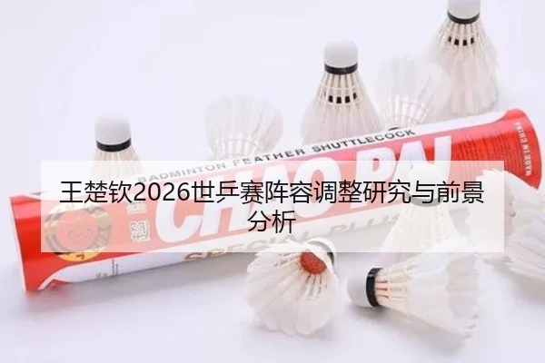 wang-chu-qin-shi-ping-sai-zhen-rong-tiao-zheng-yan-jiu-yu-qian-jing-fen-xi-2-459.jpg